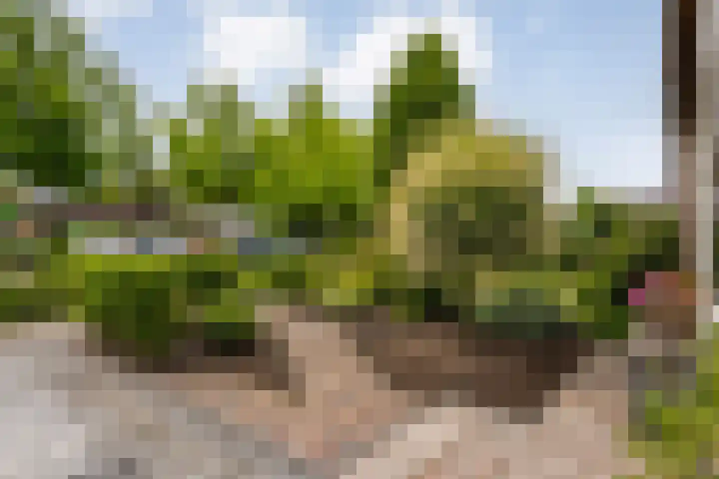 Fazantlaan 2 Ruinerwold thumbnail 40