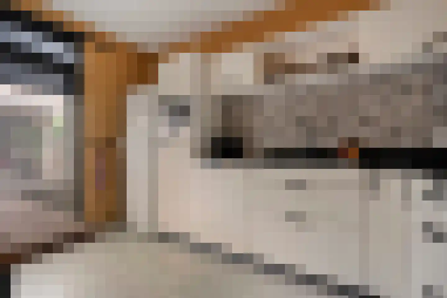 Fazantlaan 2 Ruinerwold thumbnail 9