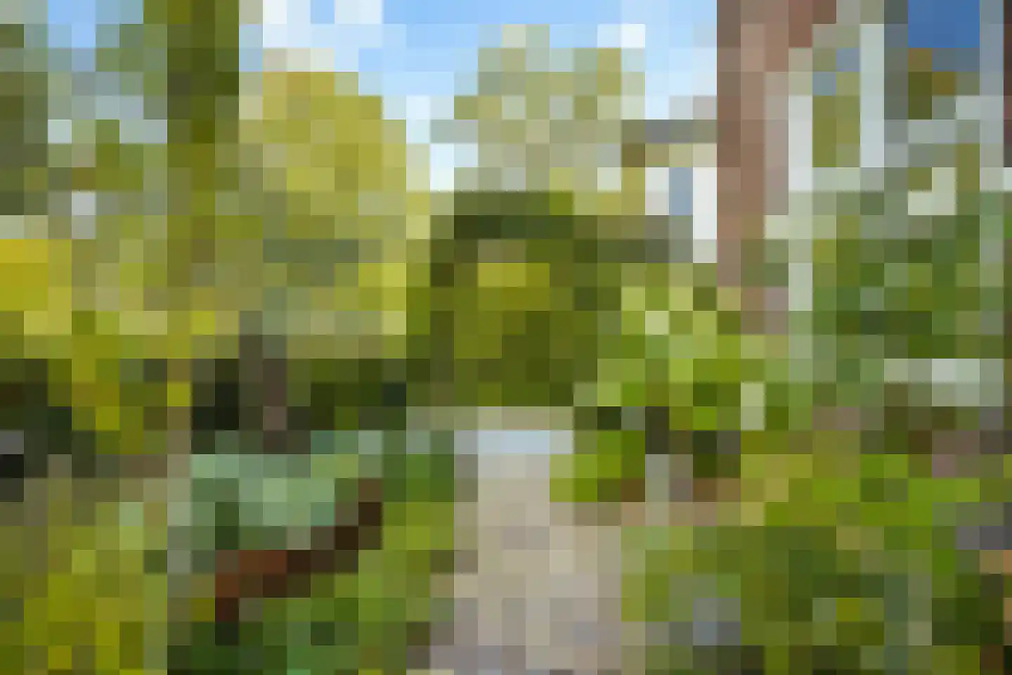 Fazantlaan 21 Eindhoven thumbnail 112