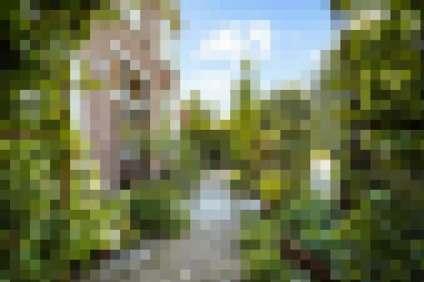 Fazantlaan 21 Eindhoven thumbnail 114