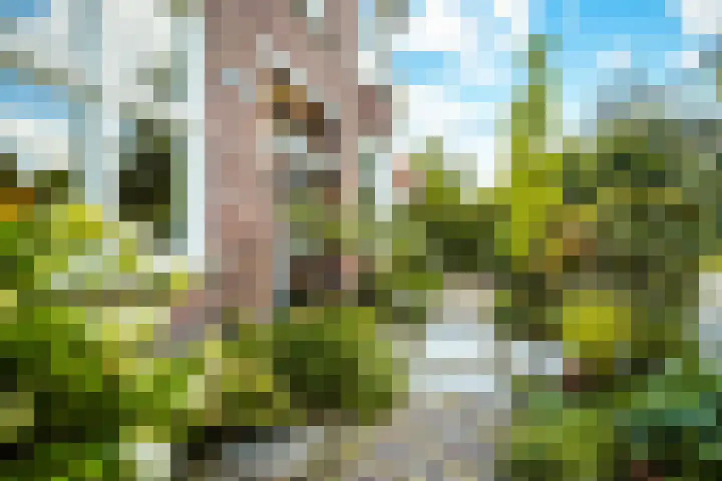 Fazantlaan 21 Eindhoven thumbnail 115