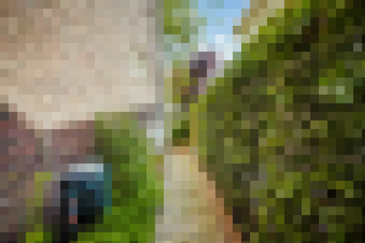Fazantlaan 21 Eindhoven thumbnail 116