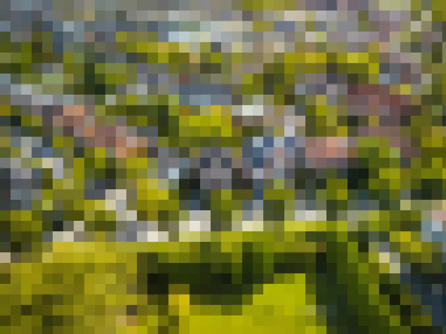 Fazantlaan 21 Eindhoven thumbnail 12