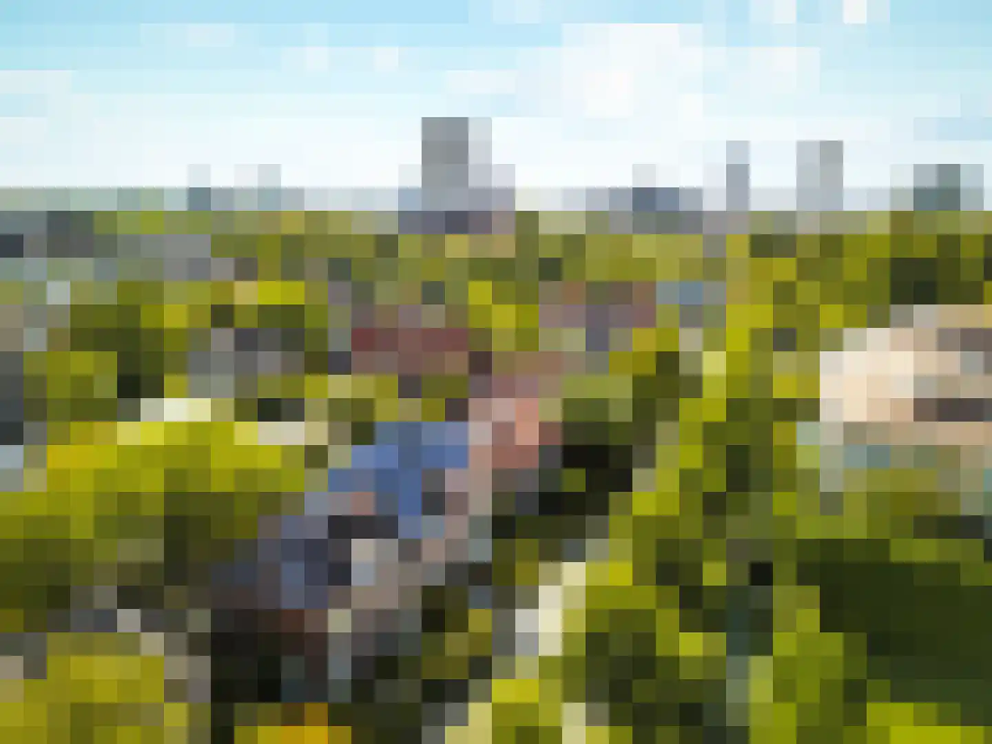 Fazantlaan 21 Eindhoven thumbnail 120
