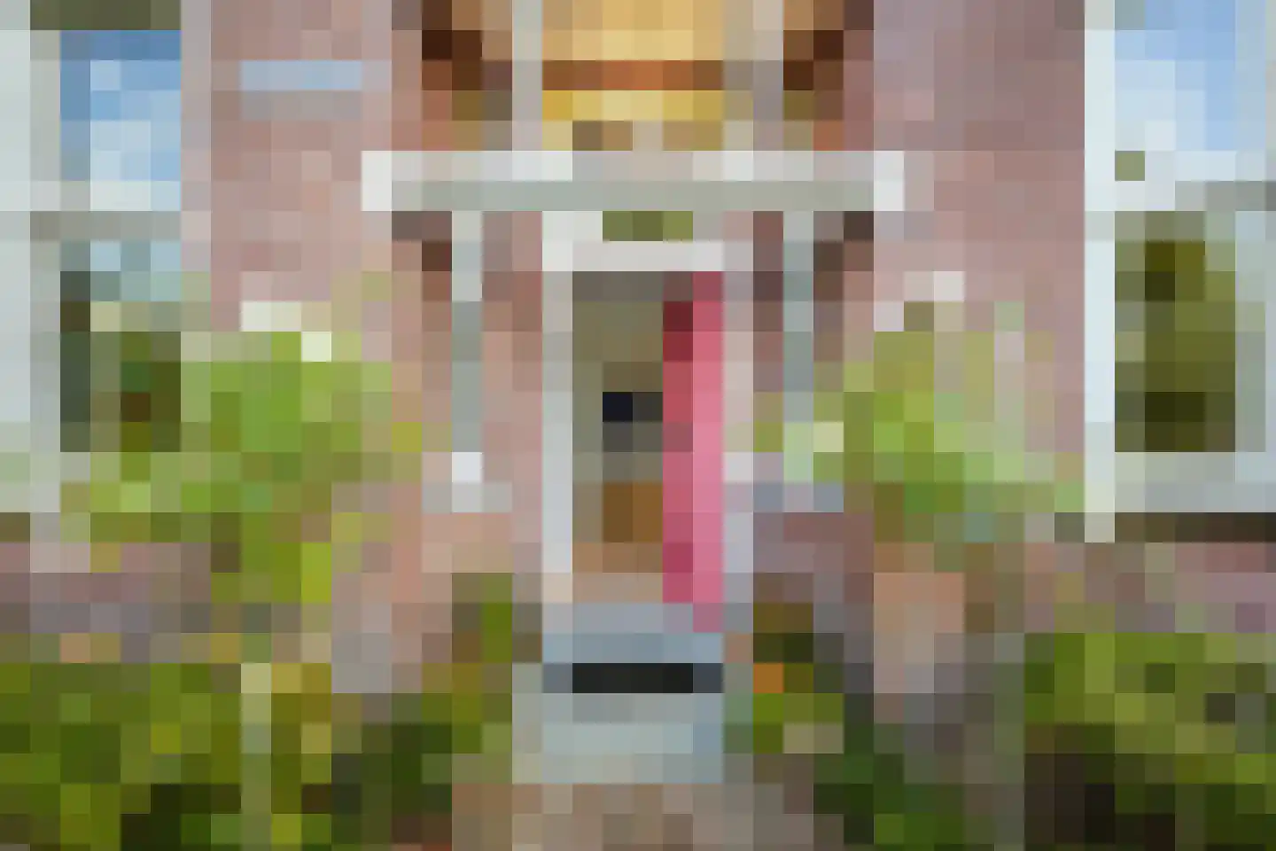 Fazantlaan 21 Eindhoven thumbnail 13