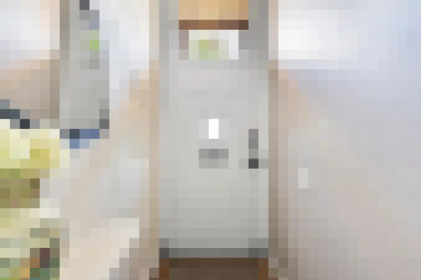 Fazantlaan 21 Eindhoven thumbnail 14