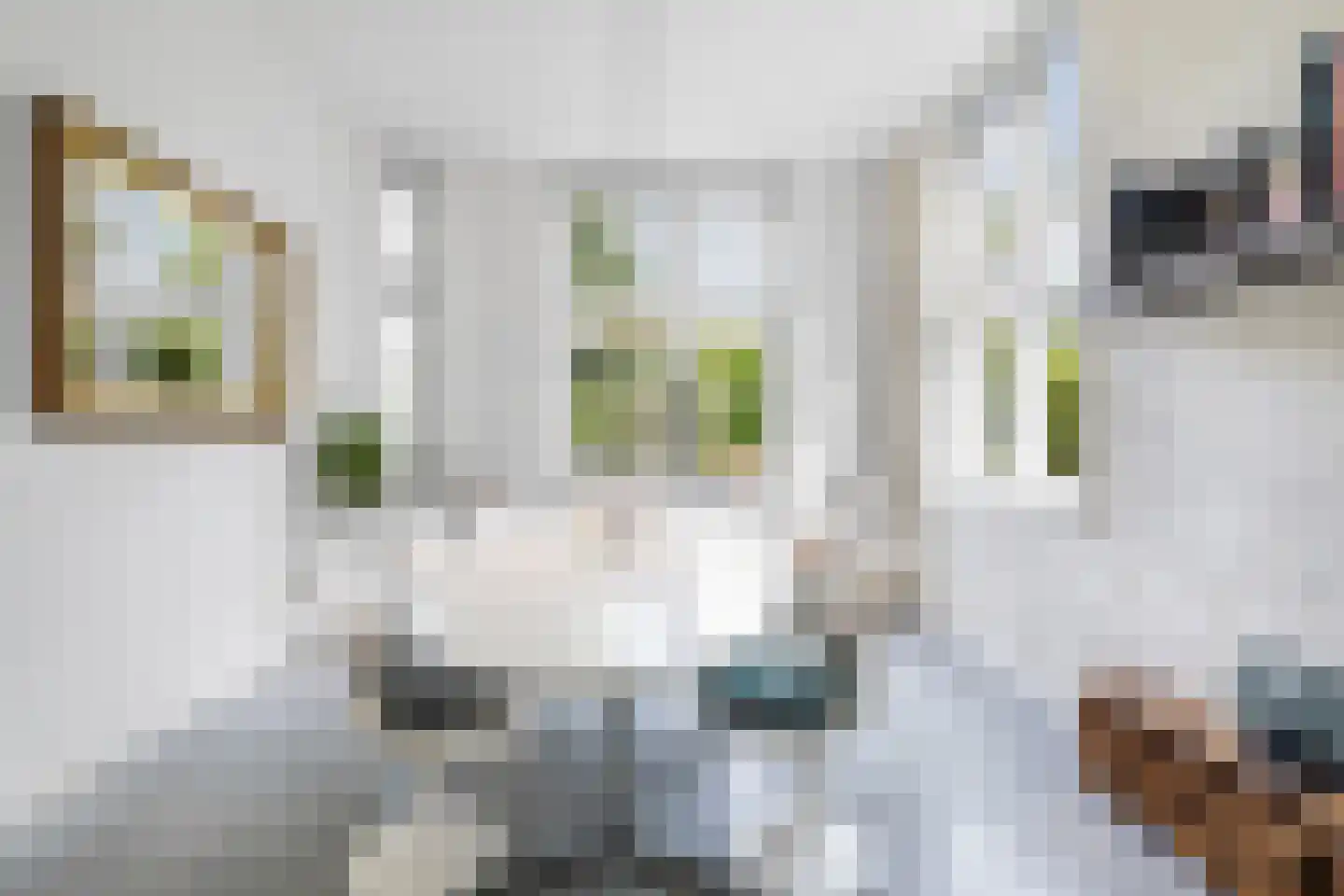 Fazantlaan 21 Eindhoven thumbnail 17