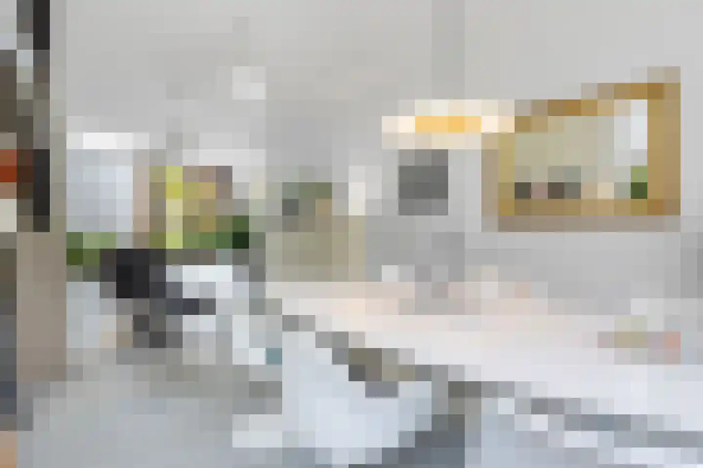 Fazantlaan 21 Eindhoven thumbnail 20