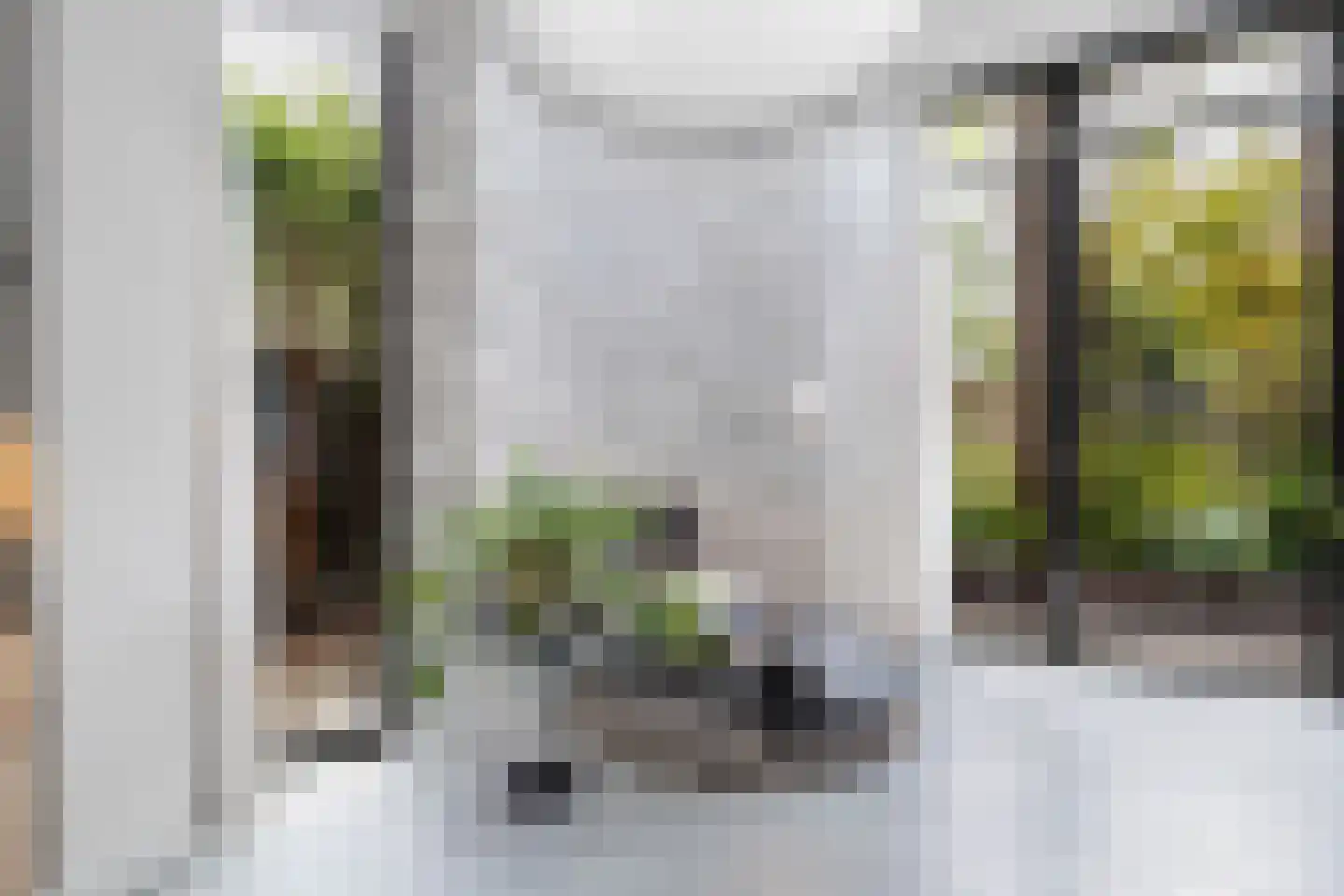 Fazantlaan 21 Eindhoven thumbnail 26
