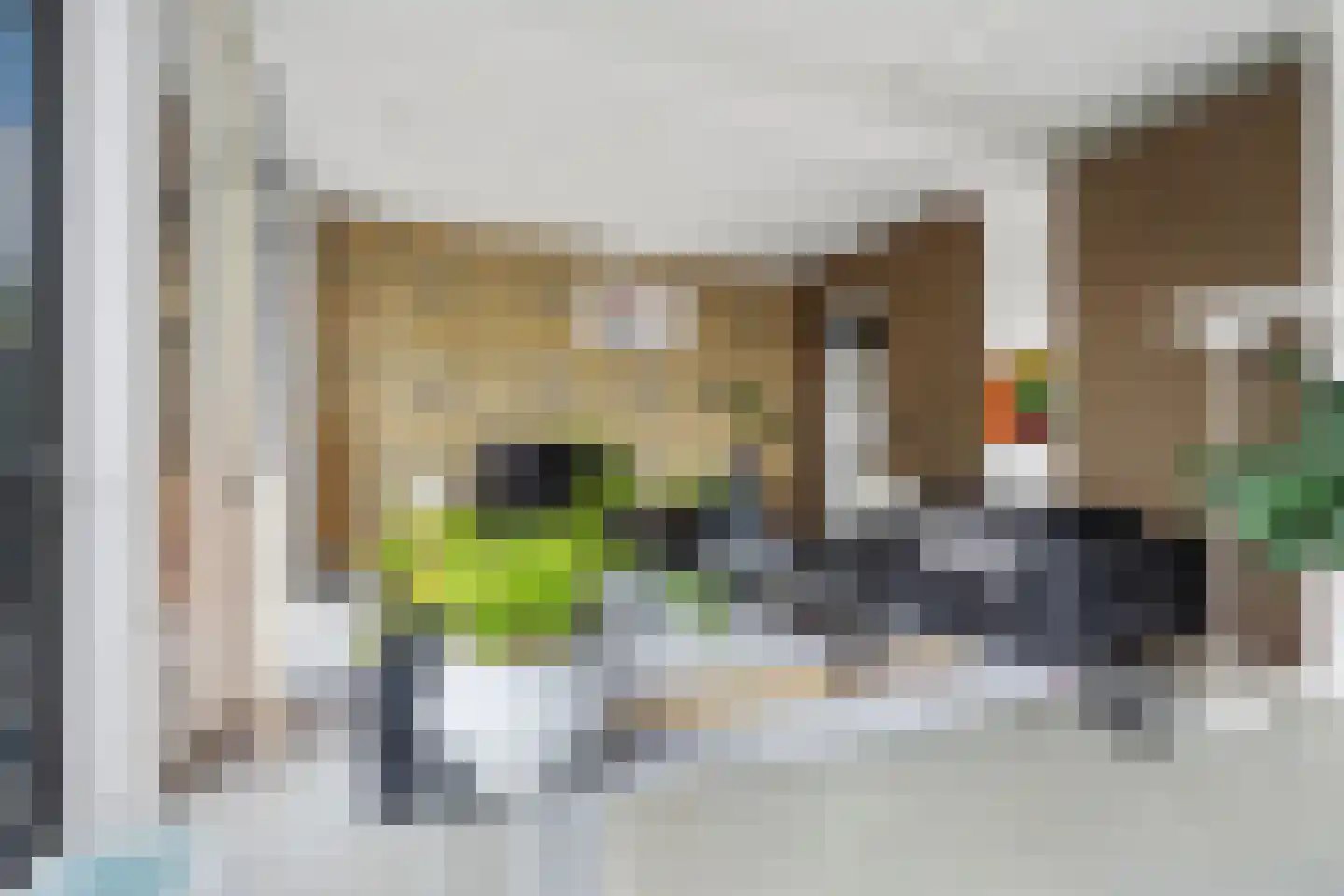 Fazantlaan 21 Eindhoven thumbnail 33