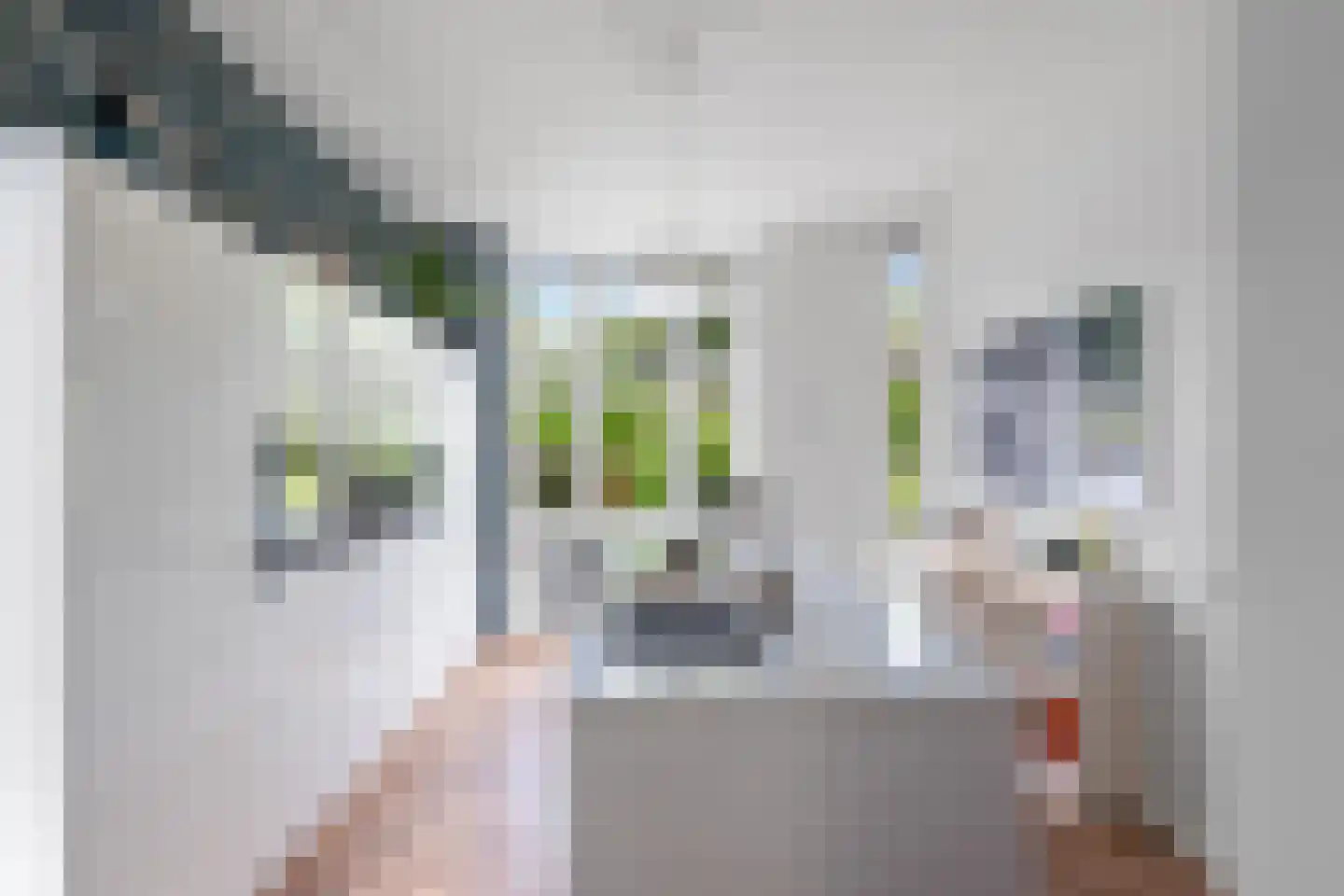 Fazantlaan 21 Eindhoven thumbnail 36