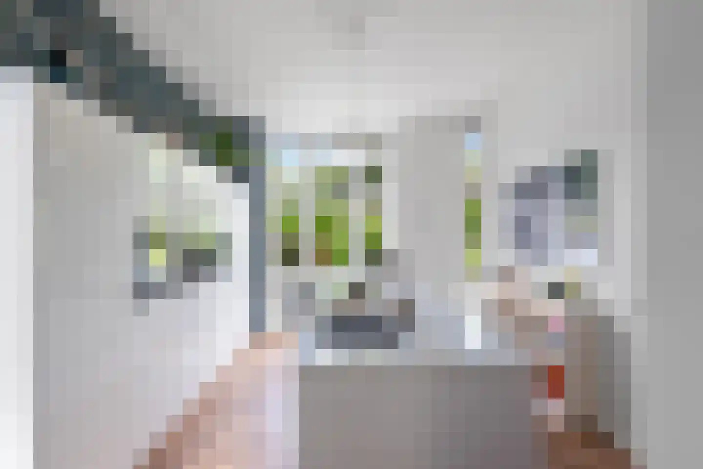 Fazantlaan 21 Eindhoven thumbnail 37
