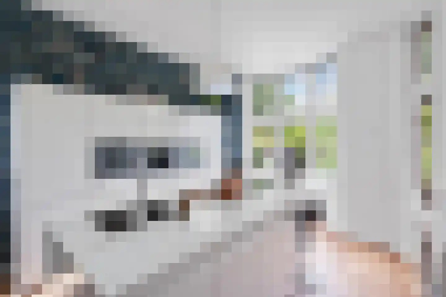 Fazantlaan 21 Eindhoven thumbnail 38
