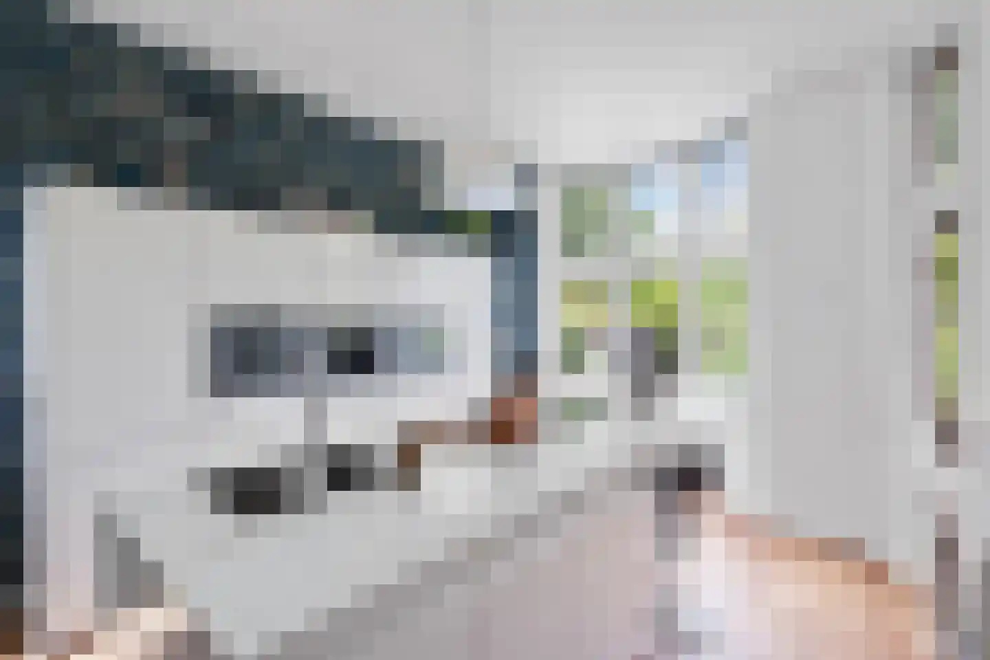 Fazantlaan 21 Eindhoven thumbnail 39