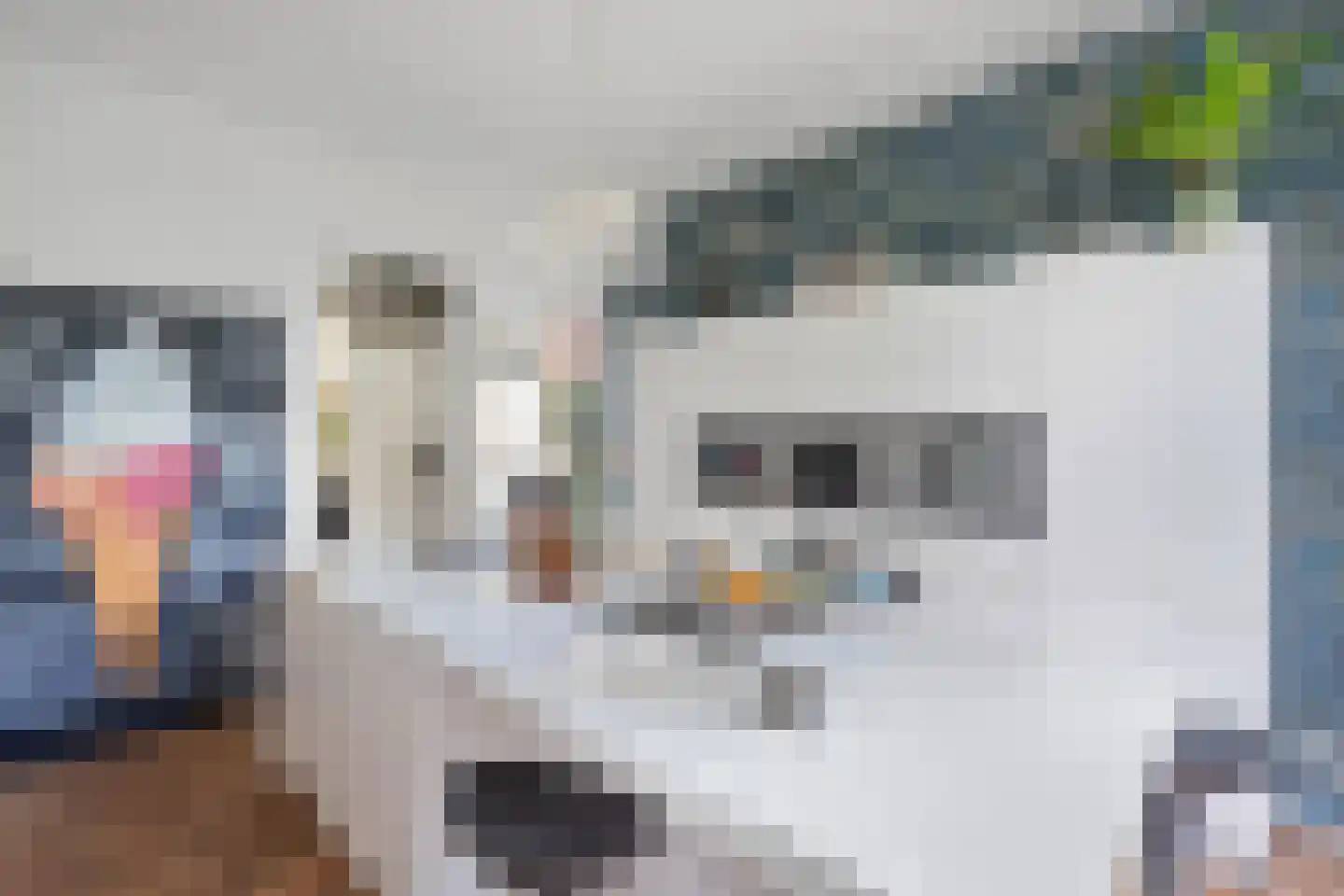 Fazantlaan 21 Eindhoven thumbnail 40