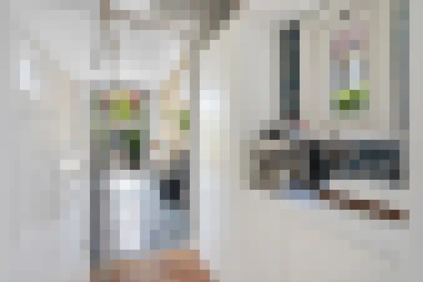 Fazantlaan 21 Eindhoven thumbnail 43