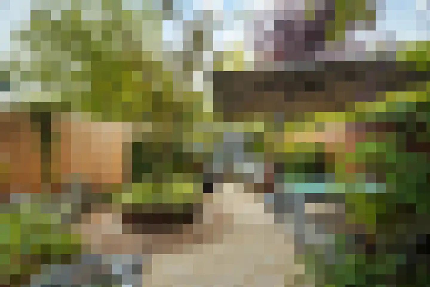 Fazantlaan 21 Eindhoven thumbnail 47