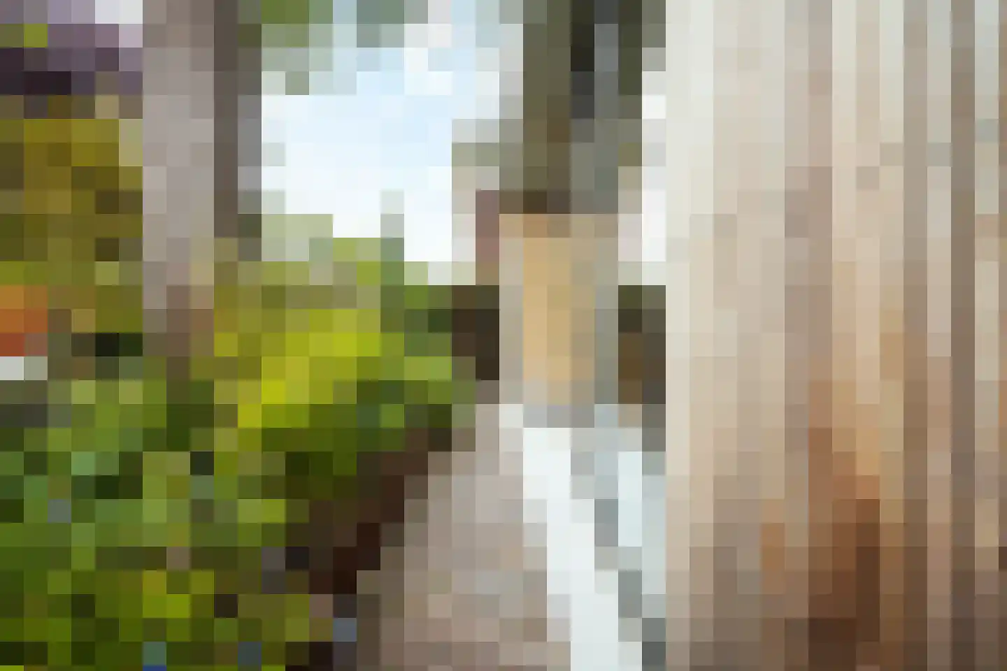 Fazantlaan 21 Eindhoven thumbnail 49