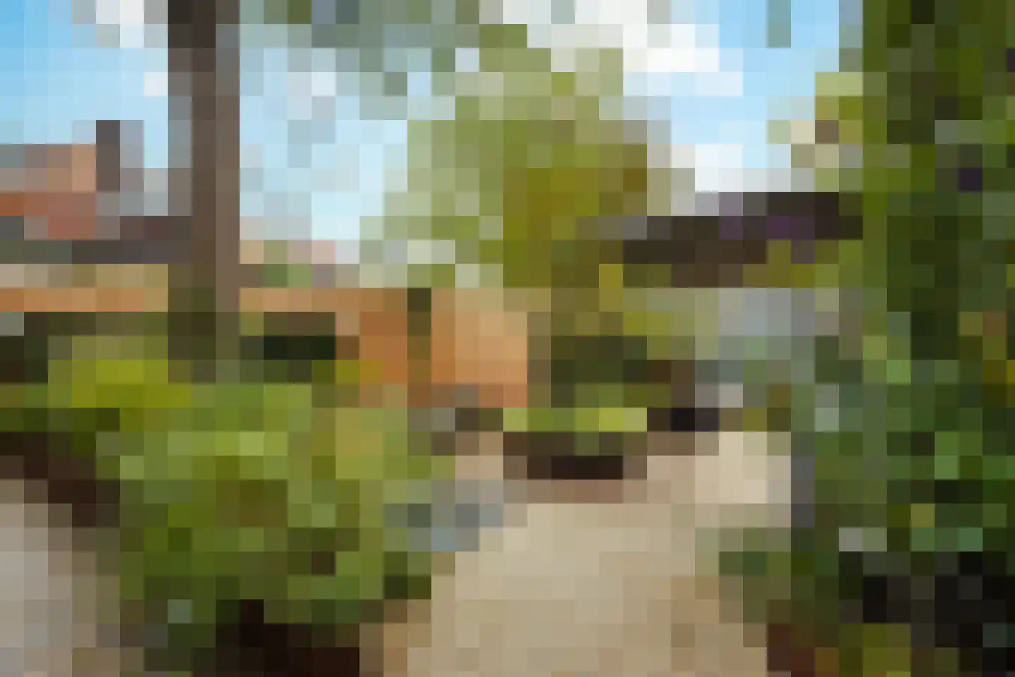 Fazantlaan 21 Eindhoven thumbnail 50