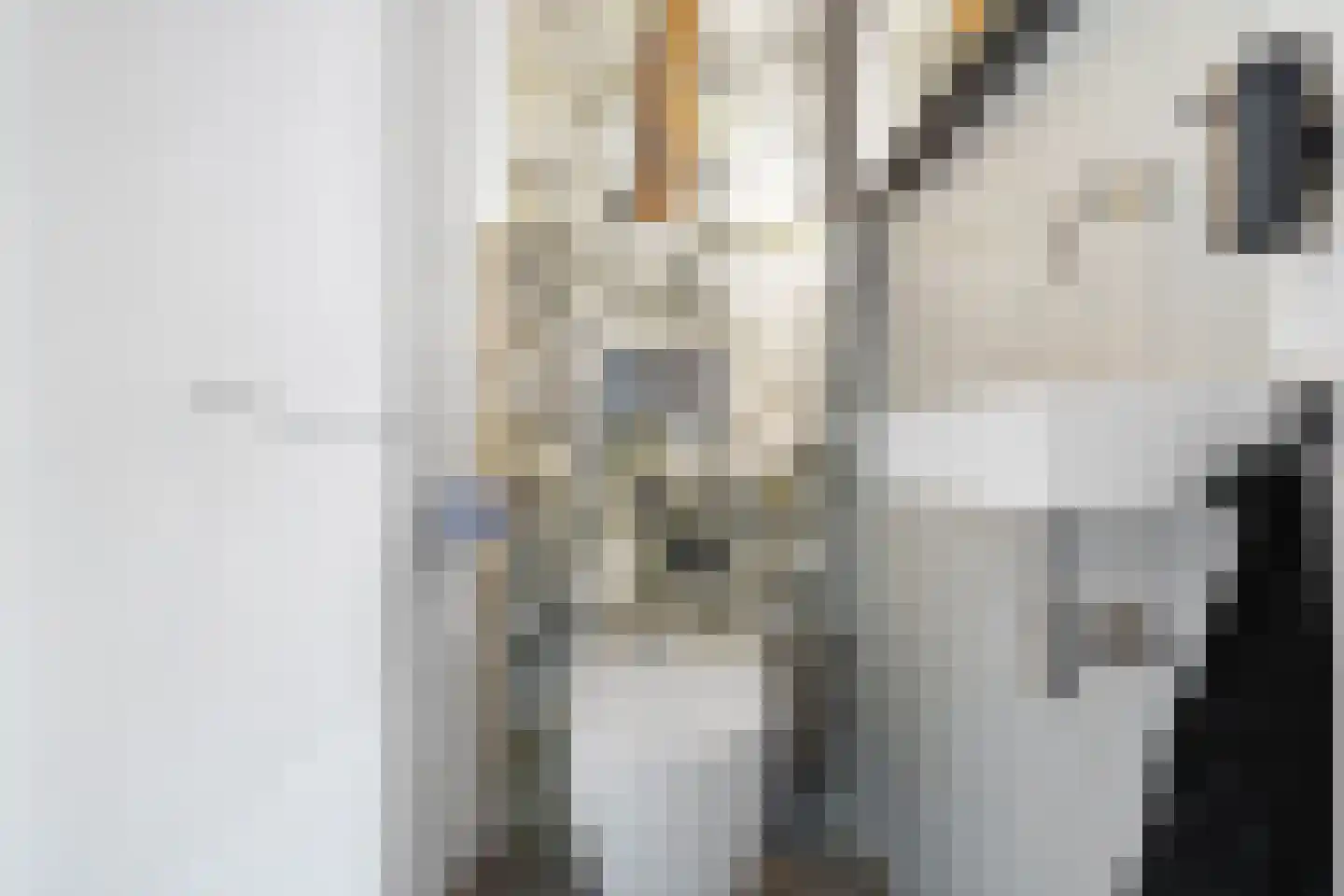 Fazantlaan 21 Eindhoven thumbnail 55