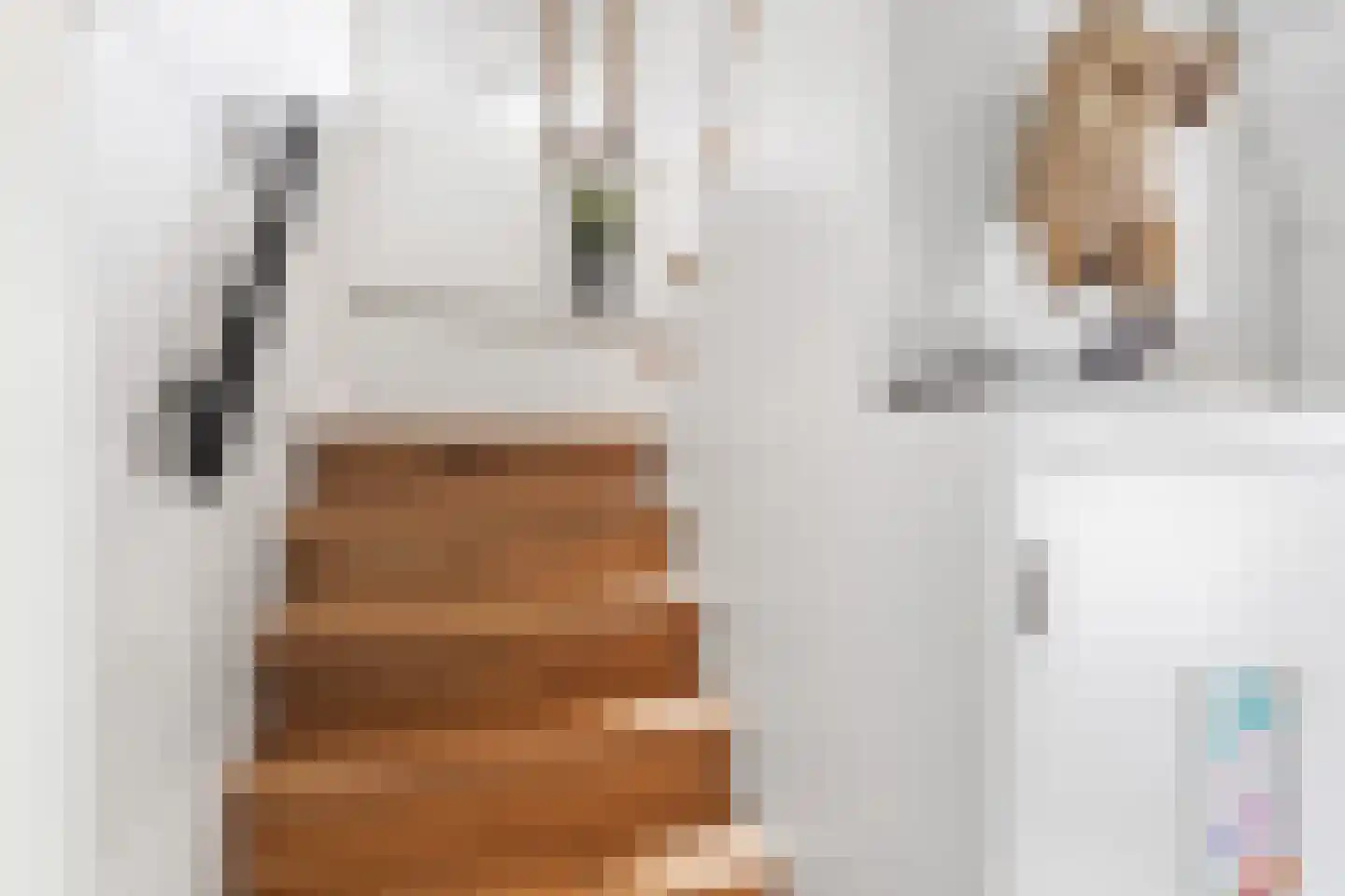 Fazantlaan 21 Eindhoven thumbnail 56