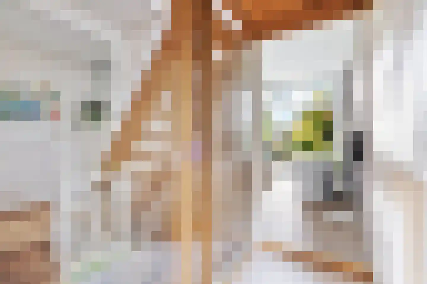 Fazantlaan 21 Eindhoven thumbnail 59