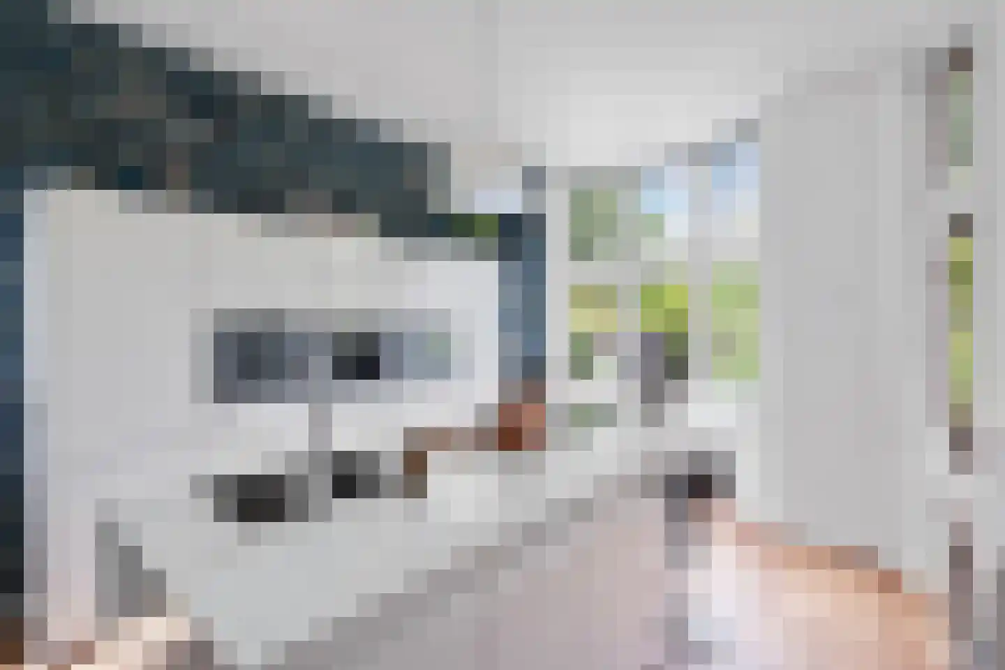 Fazantlaan 21 Eindhoven thumbnail 6