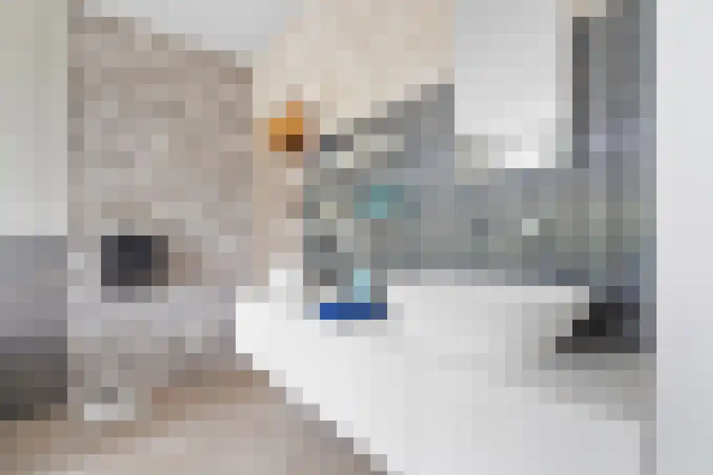 Fazantlaan 21 Eindhoven thumbnail 66