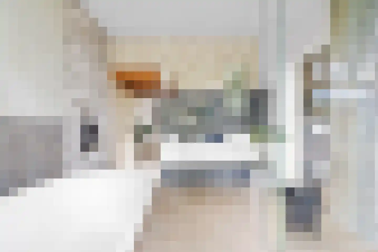 Fazantlaan 21 Eindhoven thumbnail 67