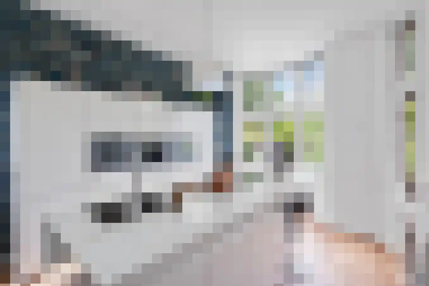 Fazantlaan 21 Eindhoven thumbnail 7