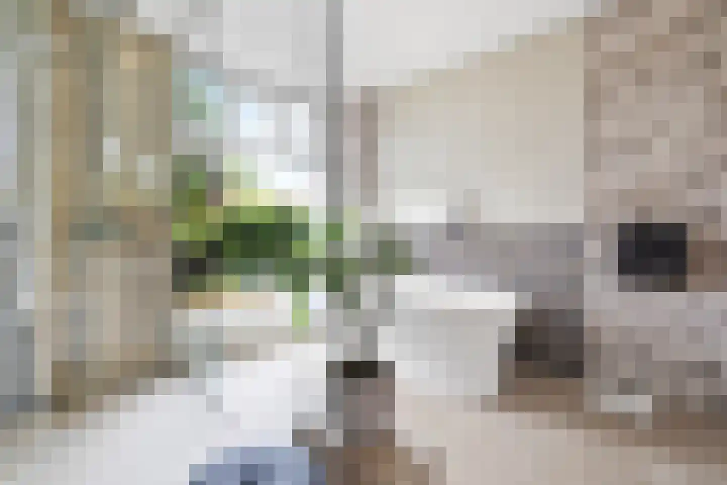 Fazantlaan 21 Eindhoven thumbnail 71