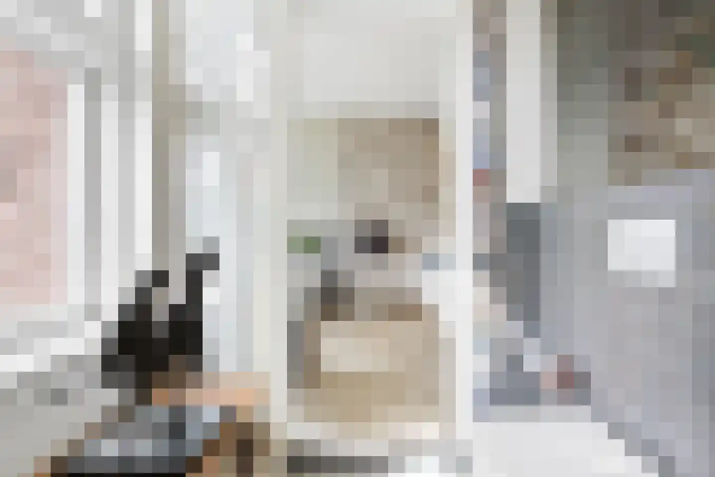 Fazantlaan 21 Eindhoven thumbnail 73