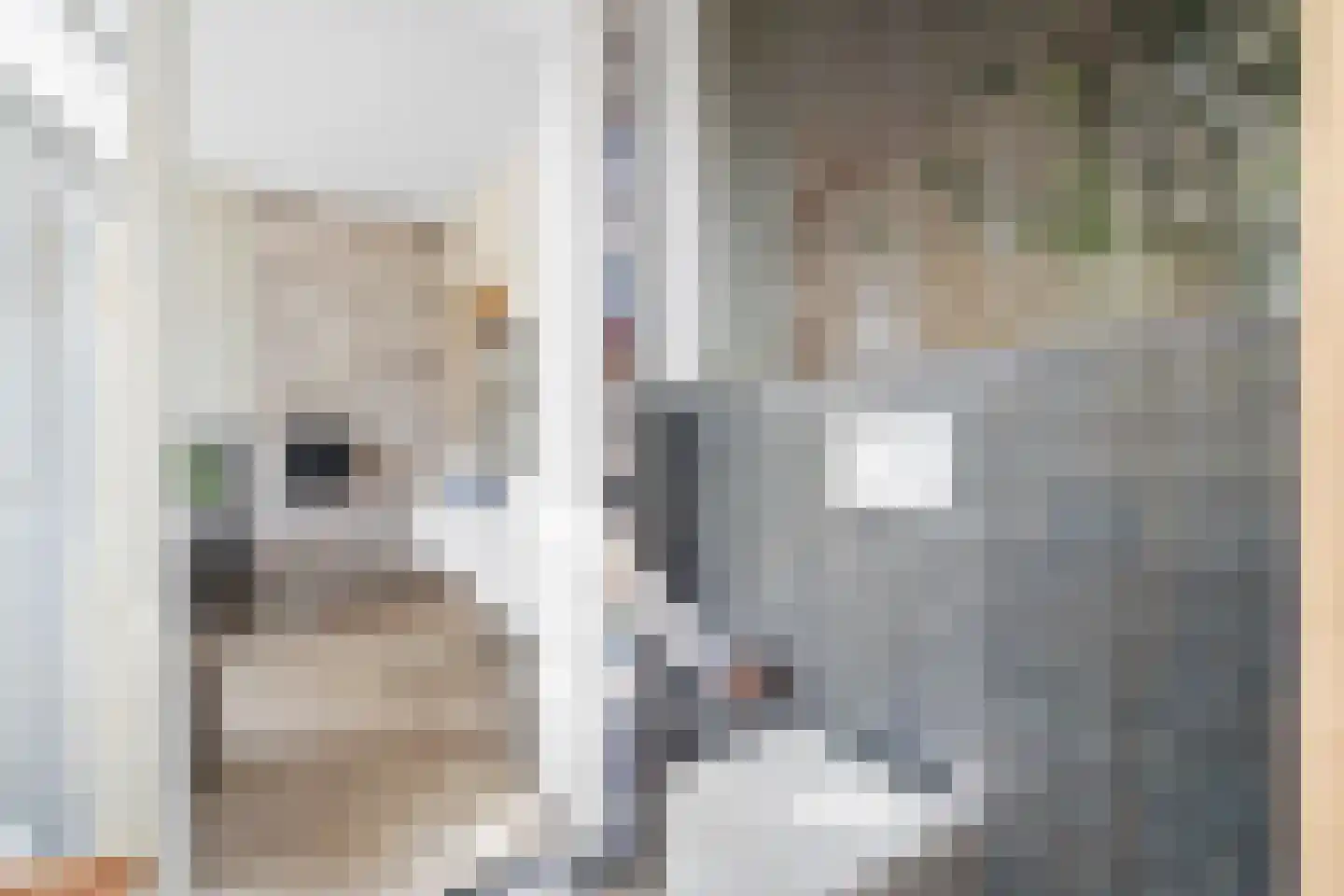 Fazantlaan 21 Eindhoven thumbnail 74