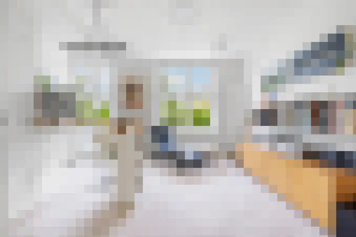Fazantlaan 21 Eindhoven thumbnail 8