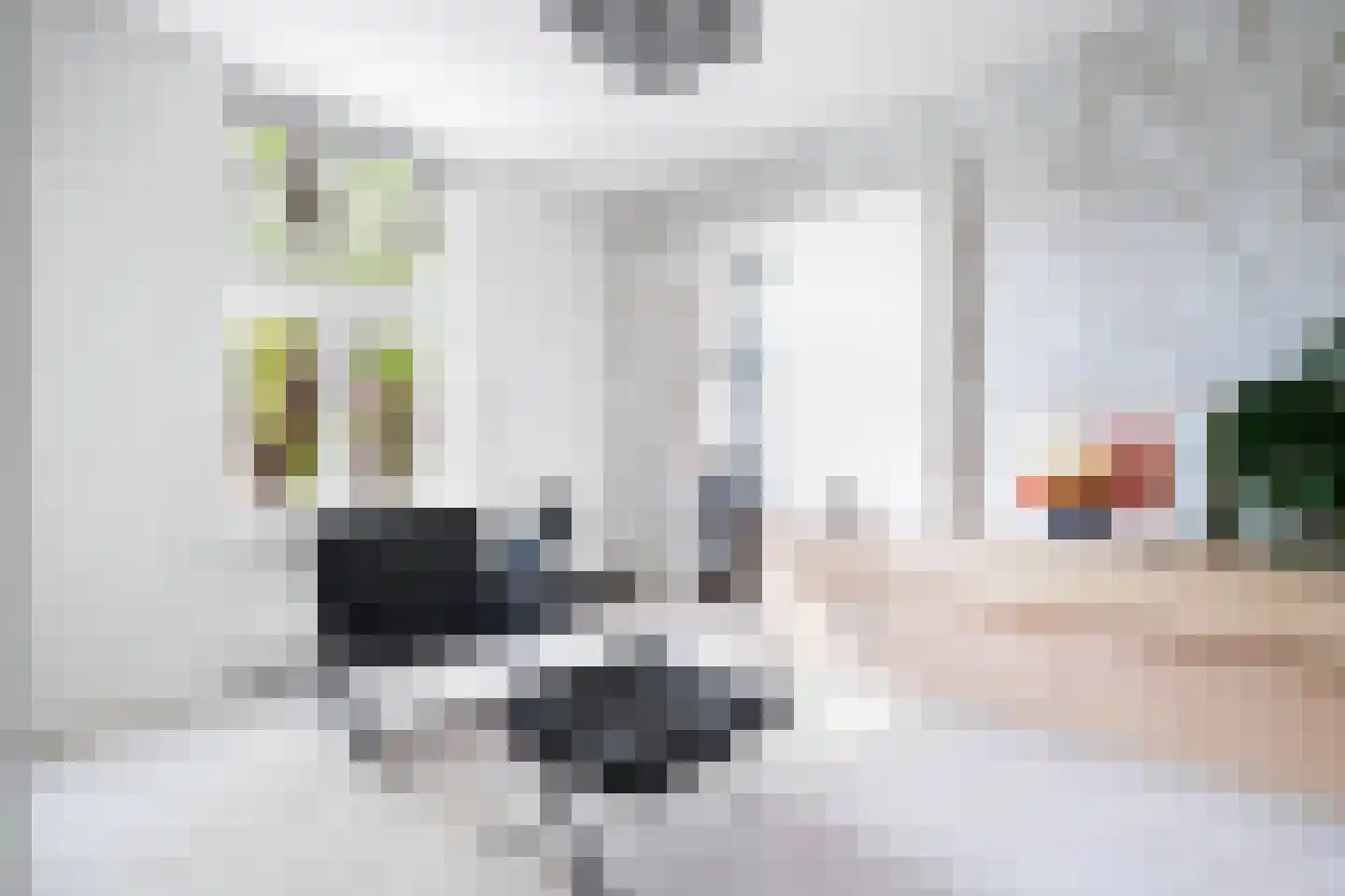 Fazantlaan 21 Eindhoven thumbnail 80