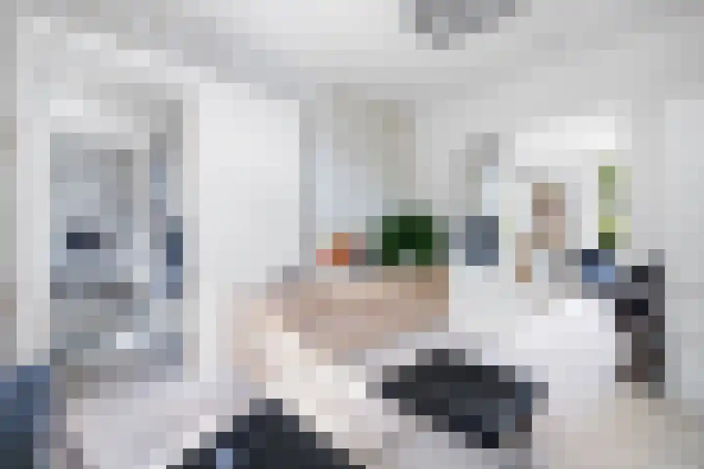 Fazantlaan 21 Eindhoven thumbnail 81