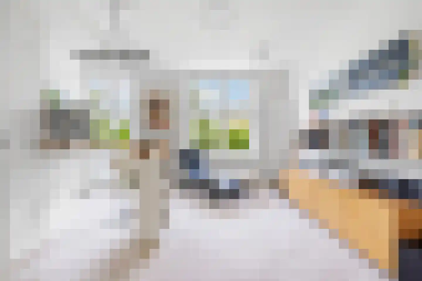 Fazantlaan 21 Eindhoven thumbnail 82