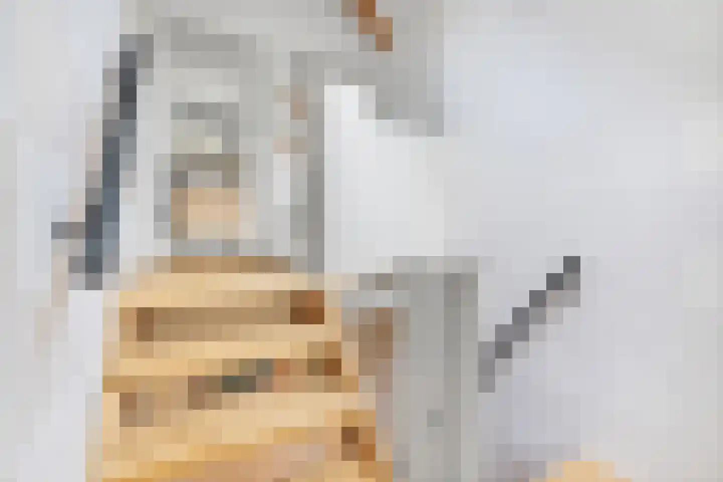 Fazantlaan 21 Eindhoven thumbnail 88