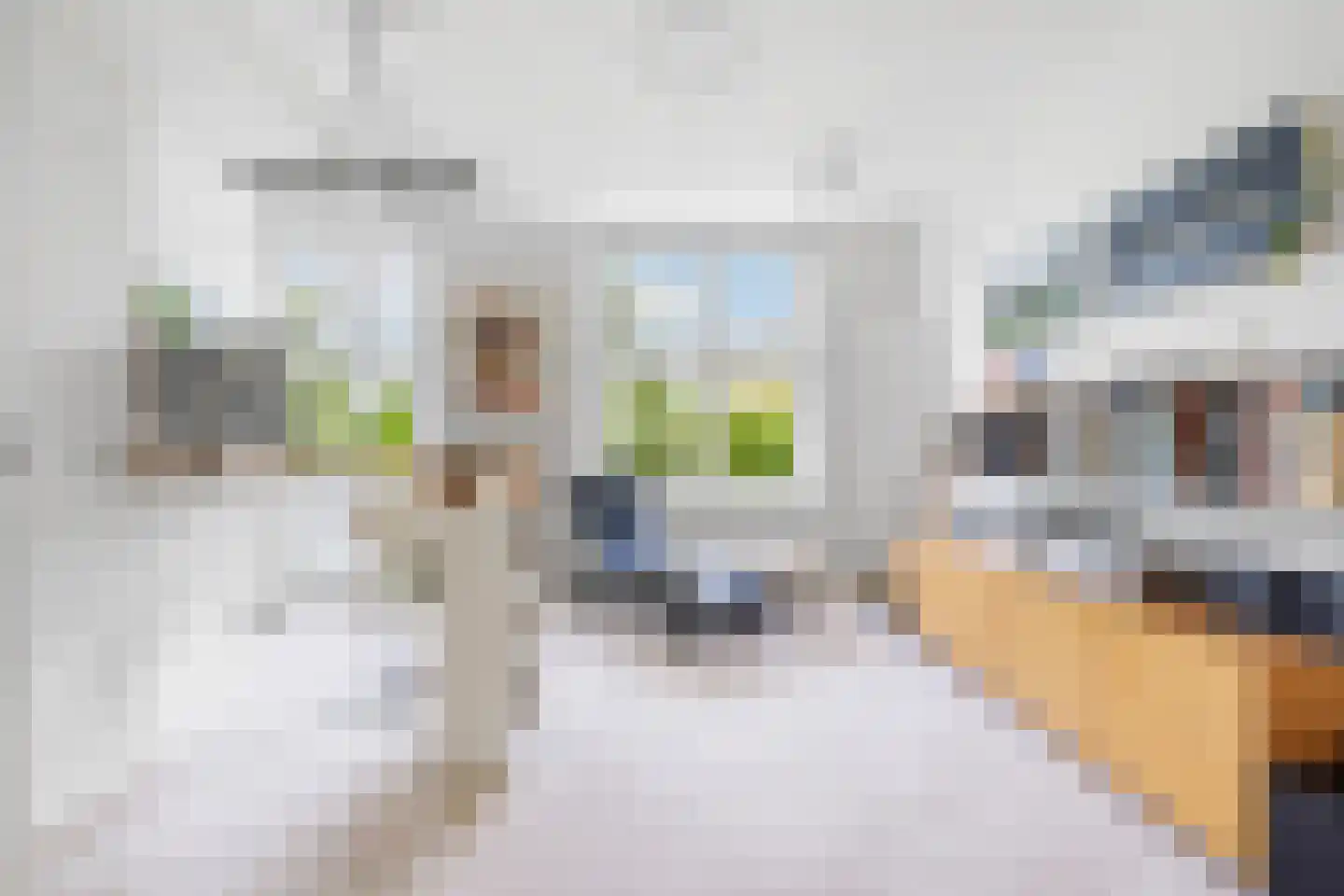 Fazantlaan 21 Eindhoven thumbnail 9