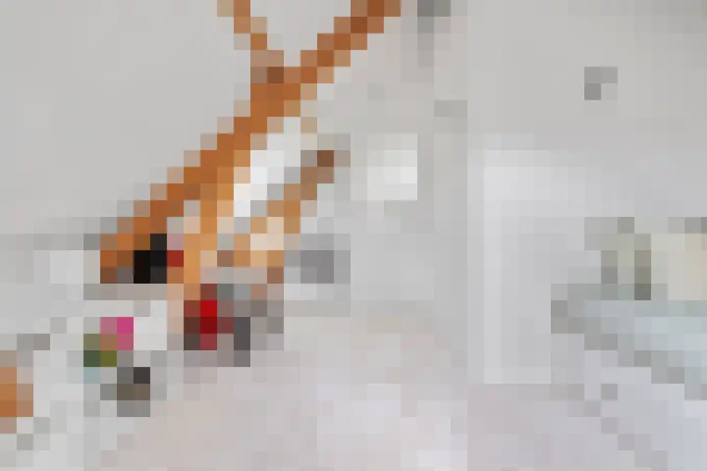 Fazantlaan 21 Eindhoven thumbnail 92