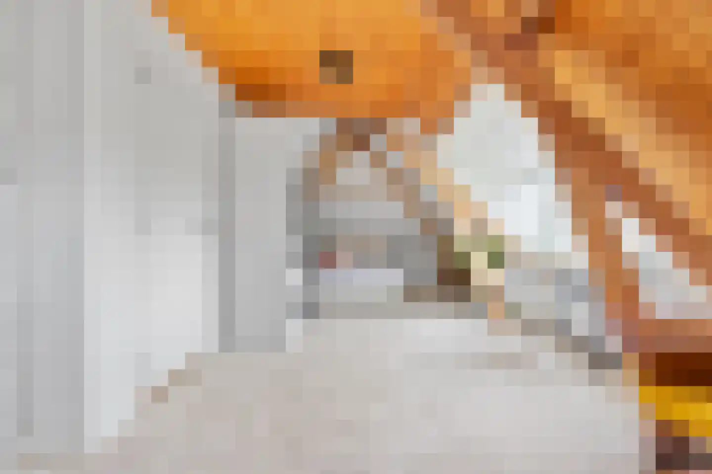 Fazantlaan 21 Eindhoven thumbnail 95