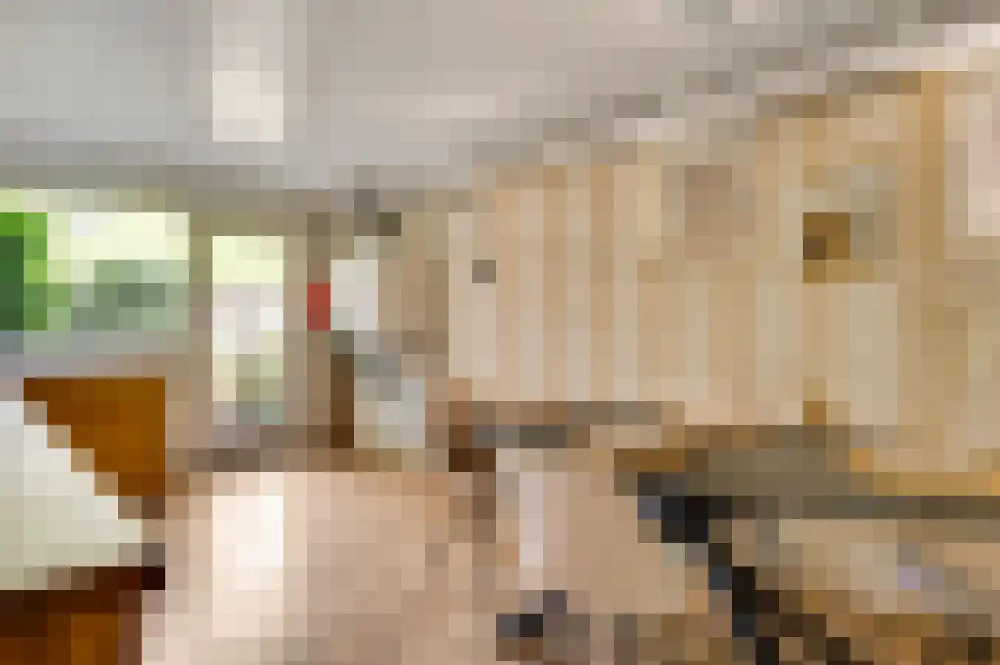 Fazantlaan 21 Leende thumbnail 16