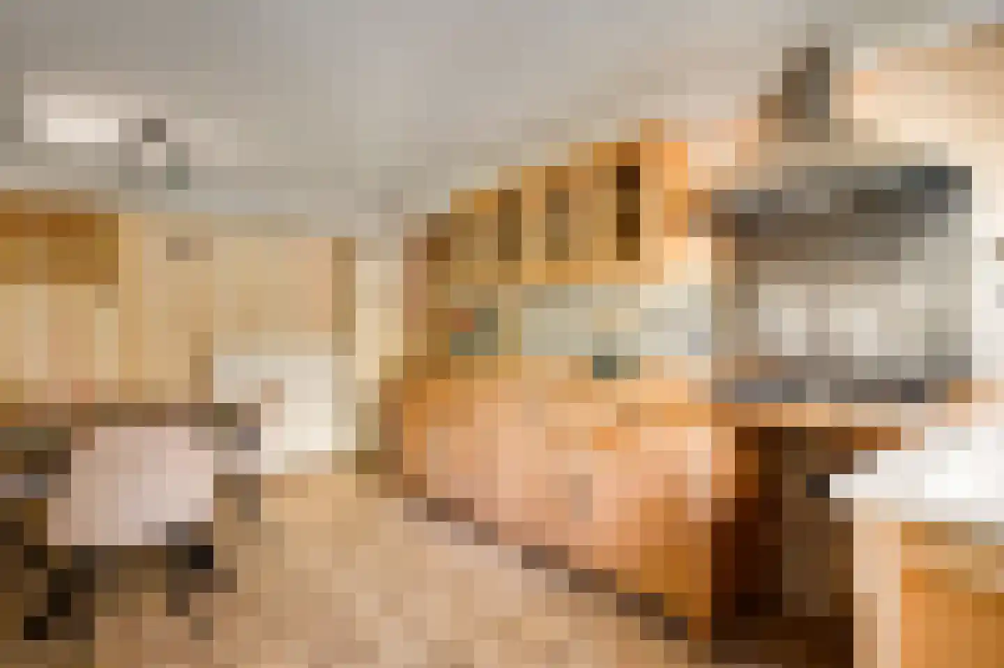 Fazantlaan 21 Leende thumbnail 18