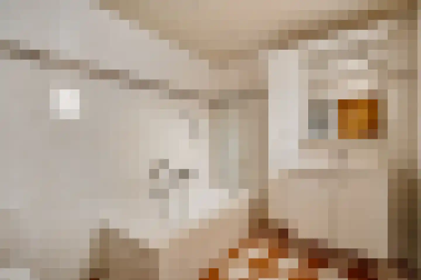 Fazantlaan 21 Leende thumbnail 24