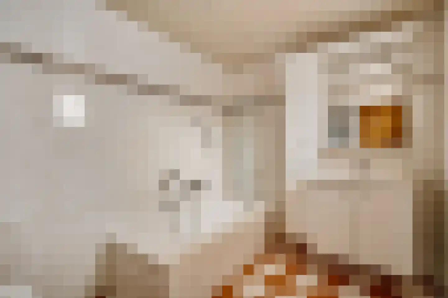 Fazantlaan 21 Leende thumbnail 25