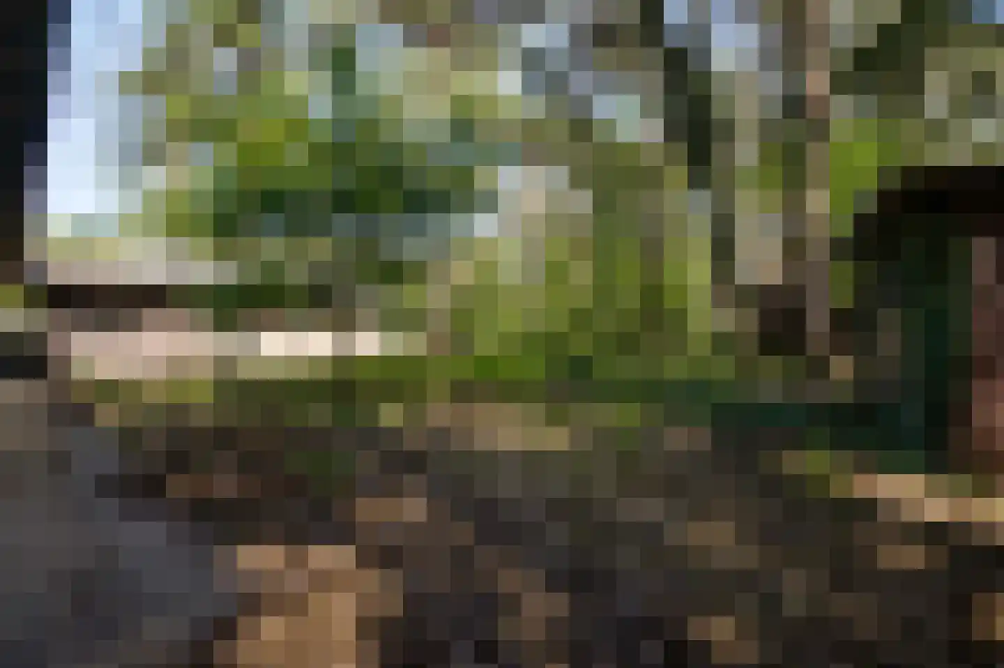 Fazantlaan 21 Leende thumbnail 29