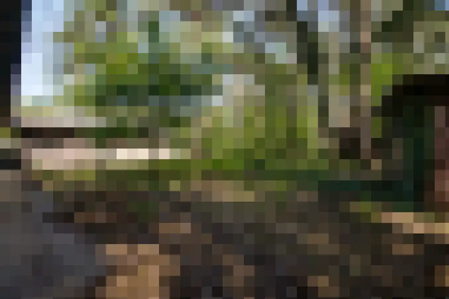 Fazantlaan 21 Leende thumbnail 30