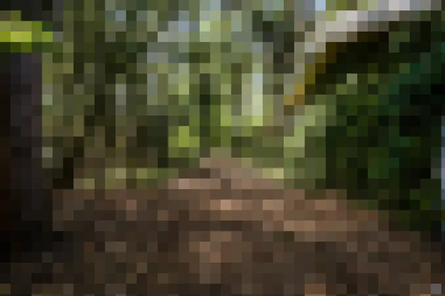 Fazantlaan 21 Leende thumbnail 31