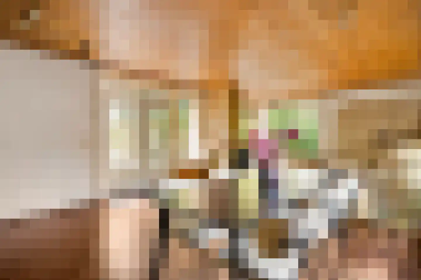 Fazantlaan 21 Leende thumbnail 4