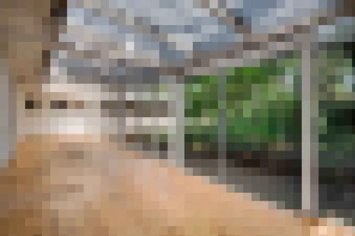 Fazantlaan 21 Leende thumbnail 5
